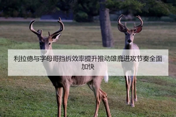 利拉德与字母哥挡拆效率提升推动雄鹿进攻节奏全面加快
